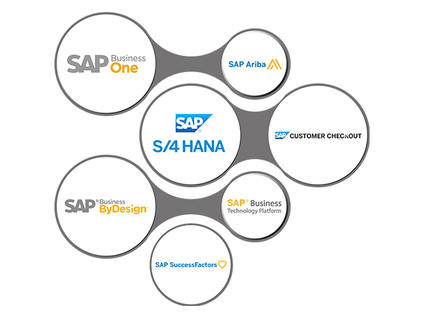 SAP-Circle-infographic-100-I-600x450px